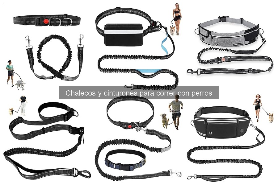 Dónde comprar chalecos y cinturones para correr con perros