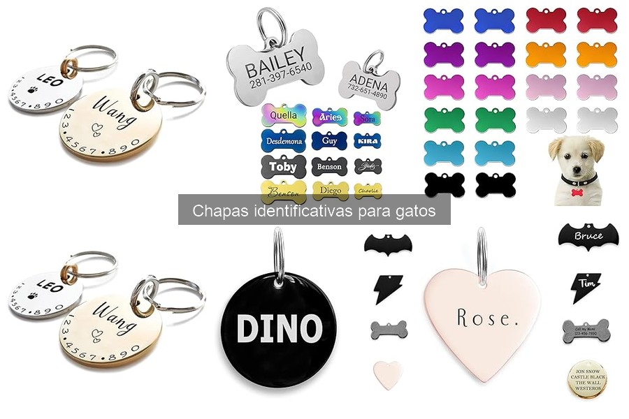 Dónde comprar chapas identificativas para gatos