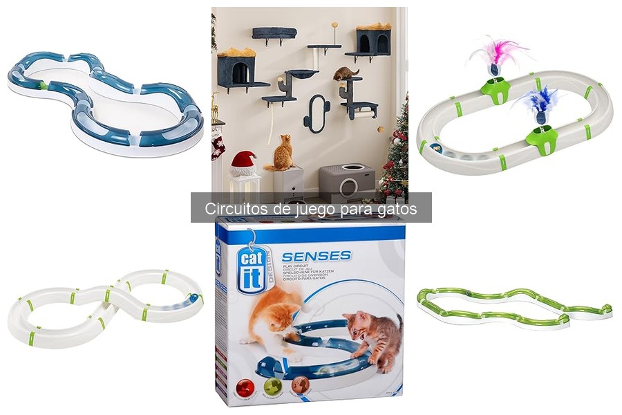 Dónde comprar circuitos de juego para gatos online y más