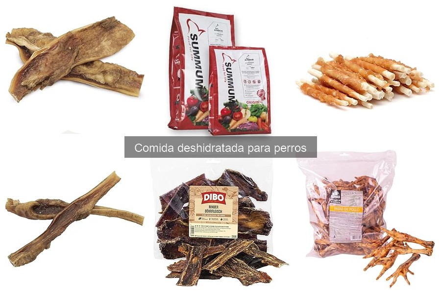 Dónde comprar comida deshidratada para perros: mejores opciones