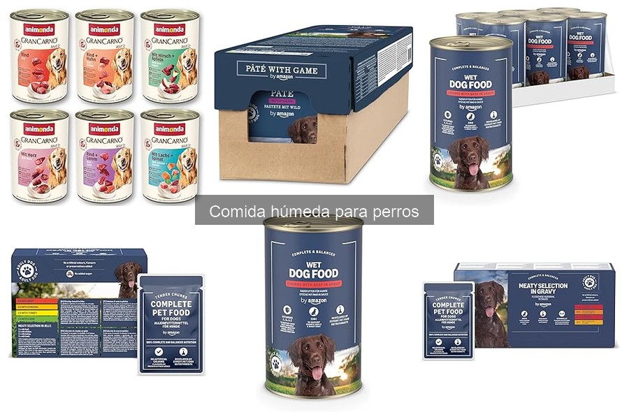 Dónde comprar comida húmeda para perros a buen precio