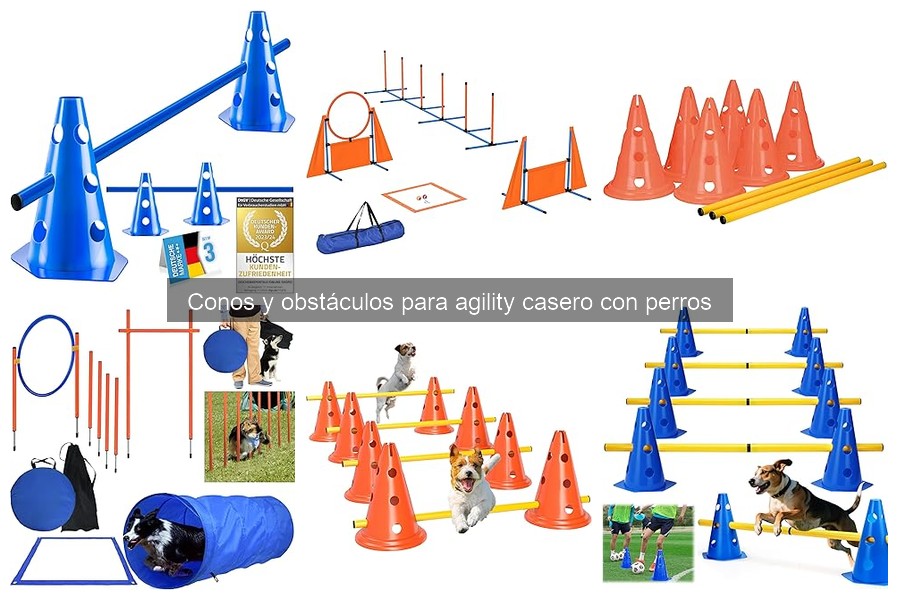 Dónde comprar conos y obstáculos de agility para perros baratos