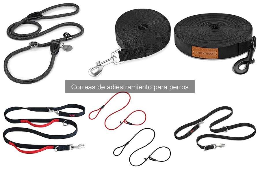 Dónde comprar correas de adiestramiento para perros