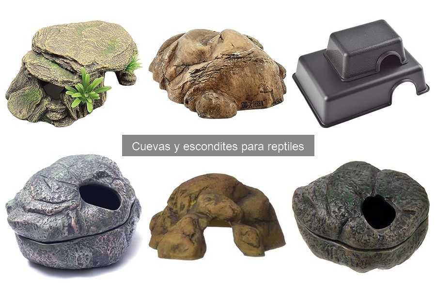 Dónde comprar cuevas y escondites para reptiles fácilmente