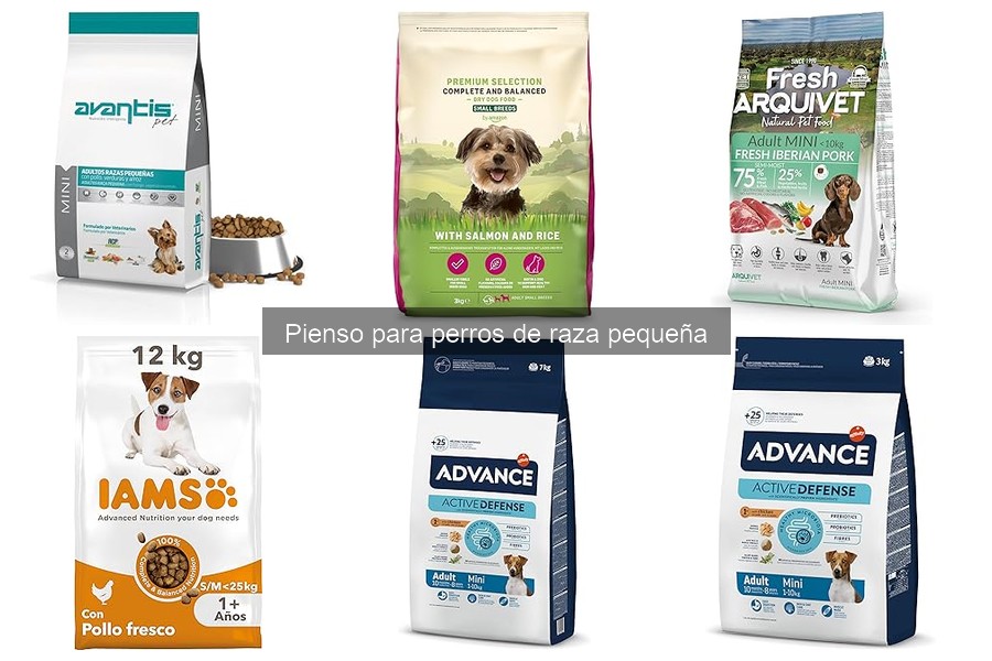 Dónde comprar el mejor pienso para perros de raza pequeña