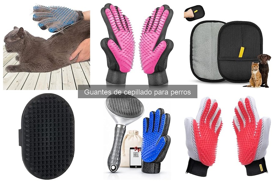 Dónde comprar guantes de cepillado para perros económicos