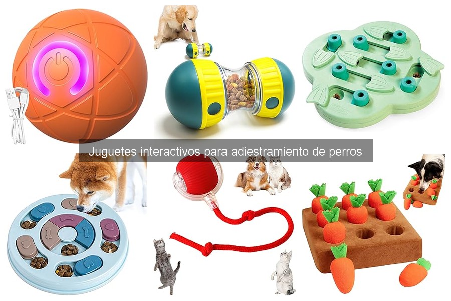 Dónde comprar juguetes interactivos para adiestramiento de perros