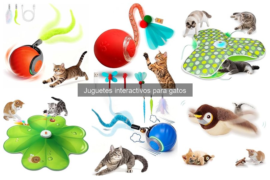 ¿Dónde comprar juguetes interactivos para gatos a buen precio?