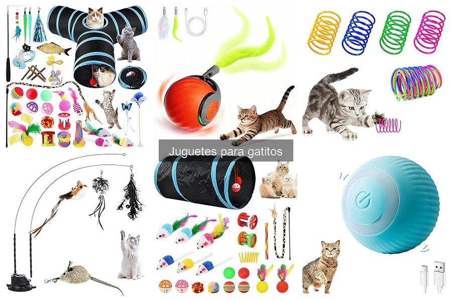 Dónde comprar juguetes para gatitos a buen precio
