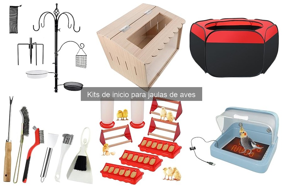 Dónde comprar kits de inicio para jaulas de aves ¡Las mejores opciones!