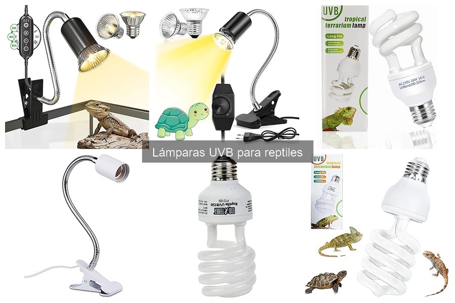 Dónde comprar lámparas UVB para reptiles: Mejores opciones