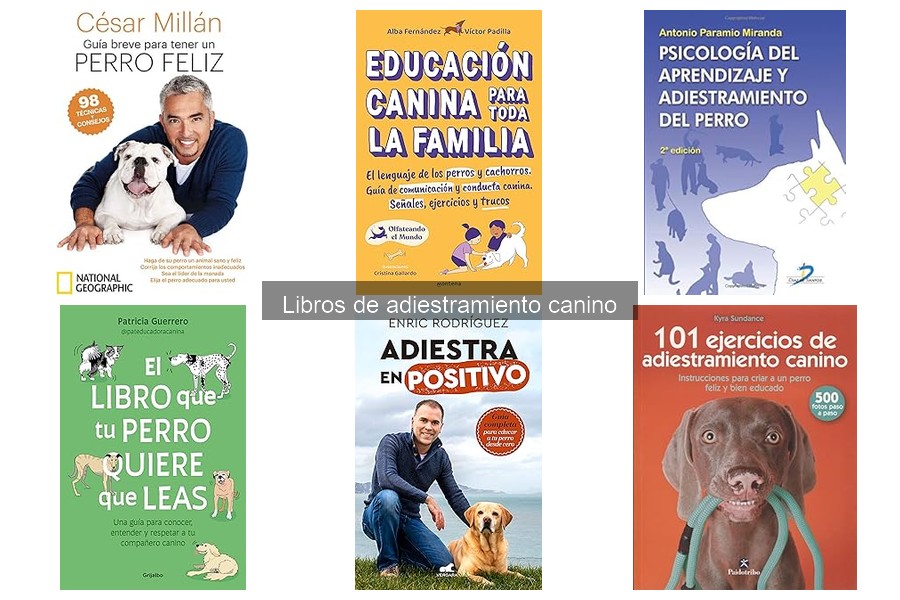 Dónde comprar libros de adiestramiento canino a buen precio