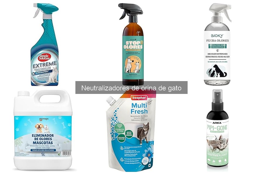 Dónde comprar neutralizadores de orina de gato fácilmente