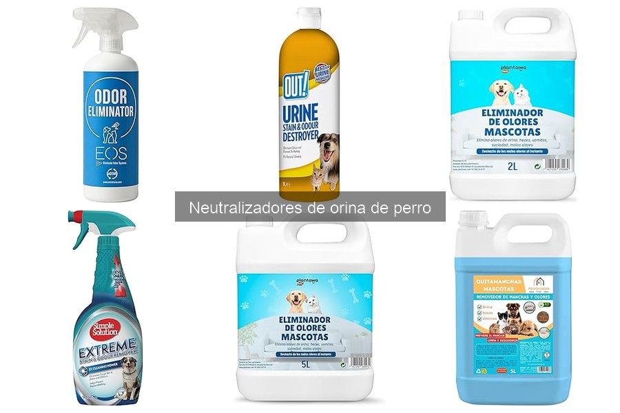 Dónde comprar neutralizadores de orina de perro a buen precio
