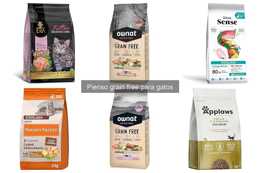 Dónde comprar pienso grain free para gatos: opciones y precios