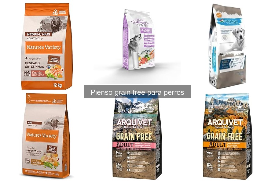 Dónde comprar pienso grain free para perros al mejor precio