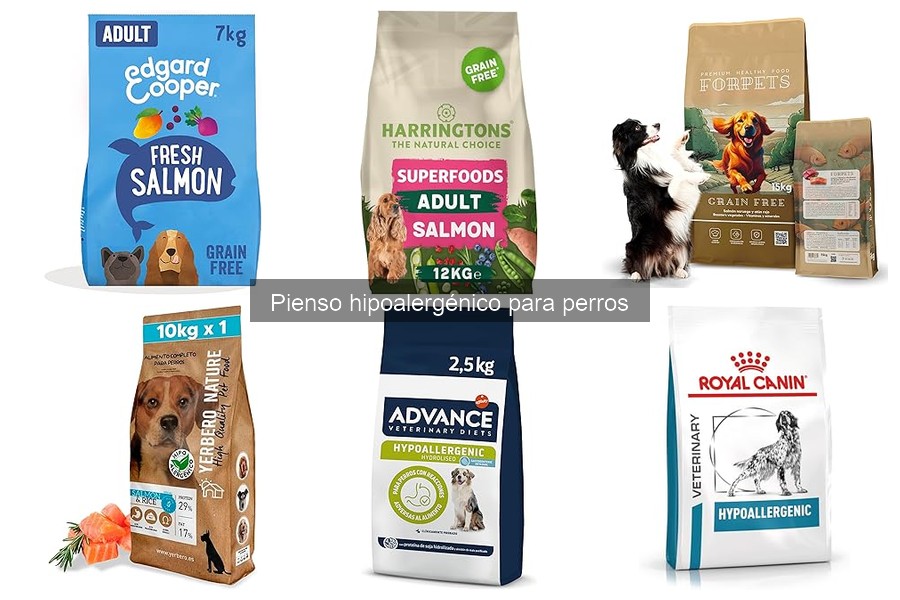 Dónde Comprar Pienso Hipoalergénico para Perros: Opciones y Precios
