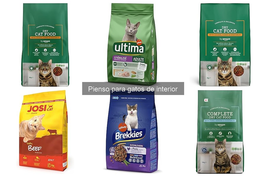 Dónde comprar pienso para gatos de interior a buen precio