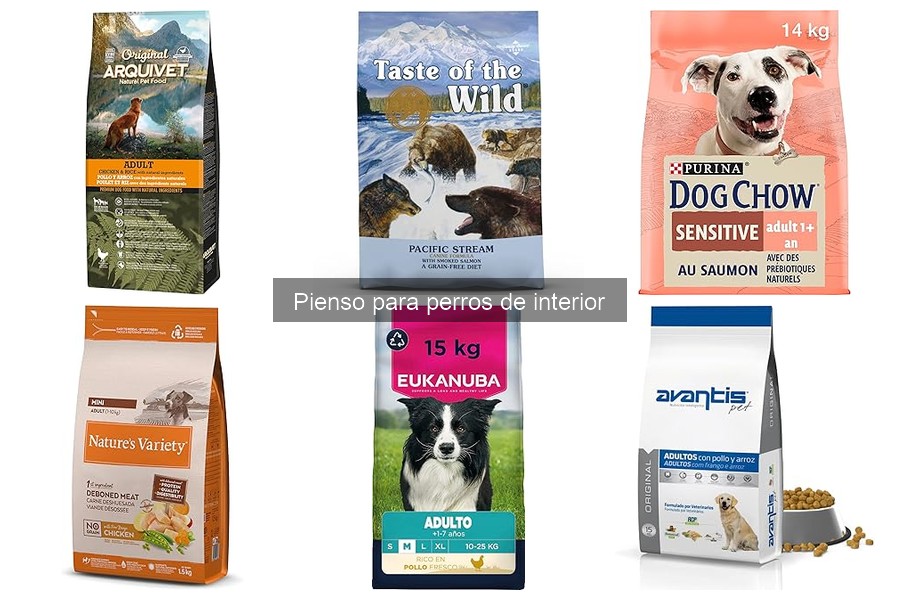 Dónde comprar pienso para perros de interior: mejores opciones