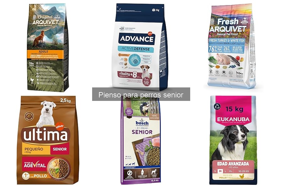 Dónde comprar pienso para perros senior a buen precio