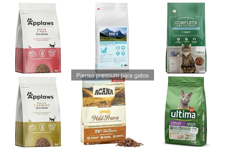 Dónde comprar pienso premium para gatos a buen precio