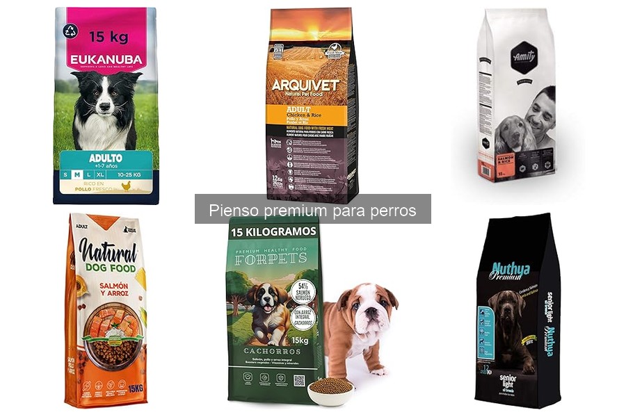 Dónde Comprar Pienso Premium para Perros: Mejores Tiendas