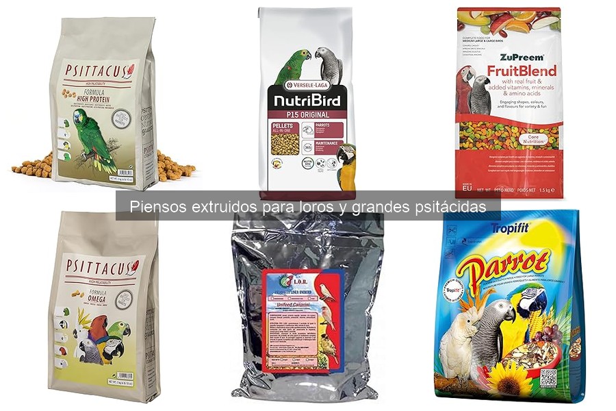 Dónde Comprar Piensos Extruidos para Loros en Línea
