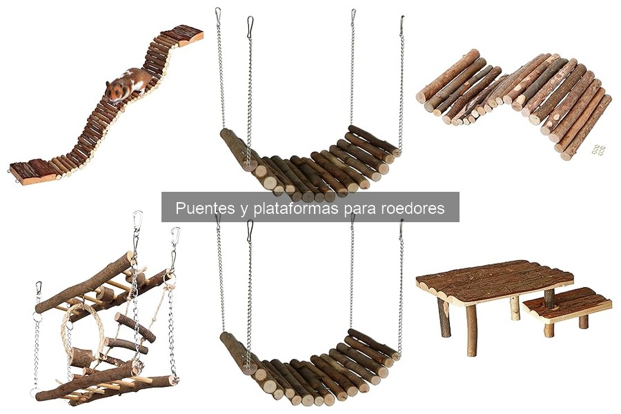 Dónde comprar puentes y plataformas para roedores