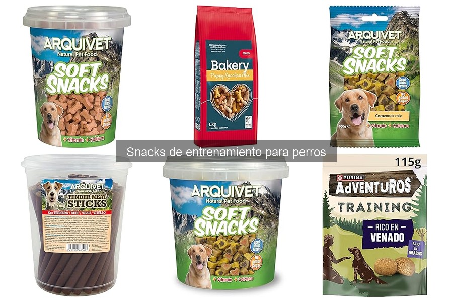 Dónde comprar snacks de entrenamiento para perros fácilmente