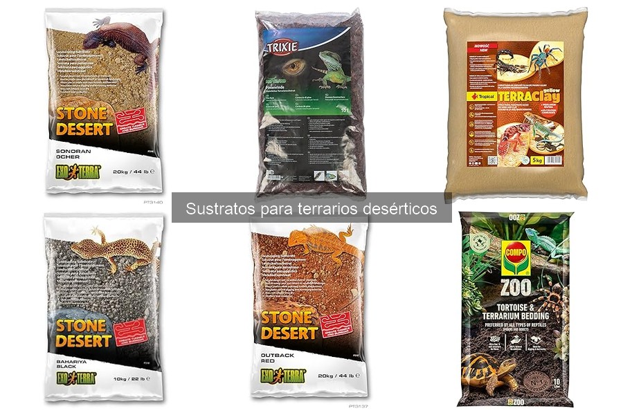 Dónde comprar sustratos para terrarios desérticos
