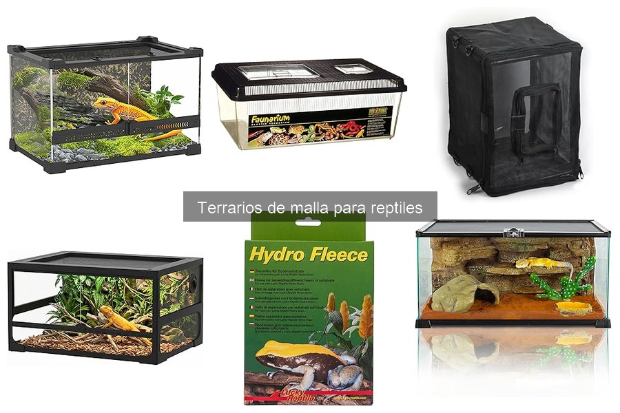 Dónde comprar terrarios de malla para reptiles: Mejores opciones