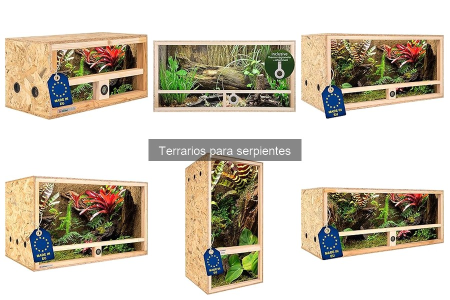 Dónde Comprar Terrarios para Serpientes: Mejores Opciones
