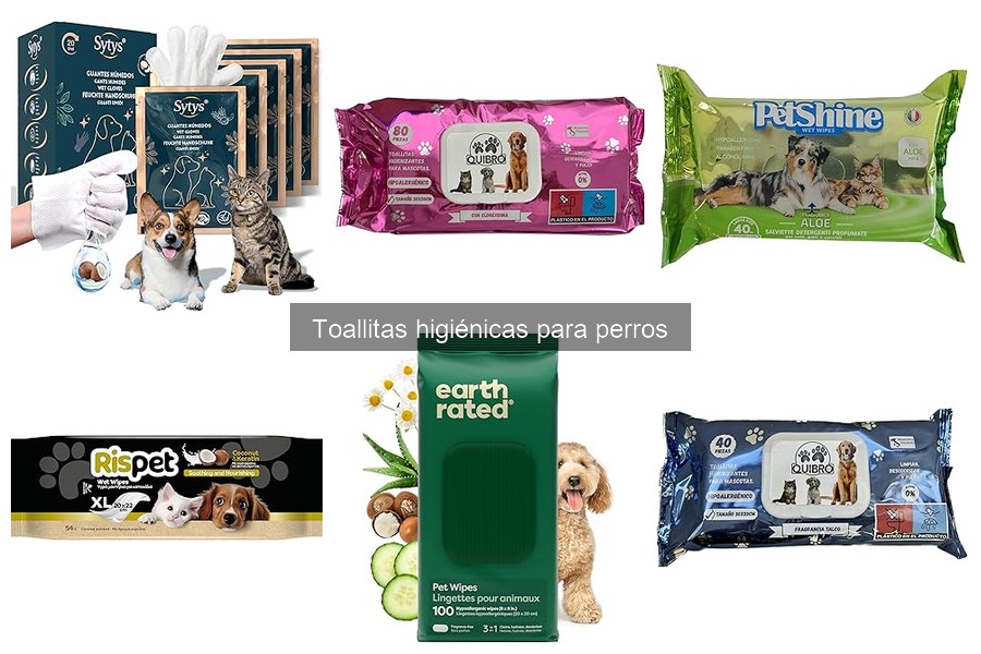 Dónde comprar toallitas higiénicas para perros al mejor precio