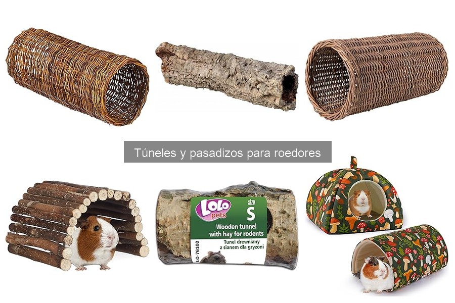 Dónde comprar túneles y pasadizos para roedores fácilmente