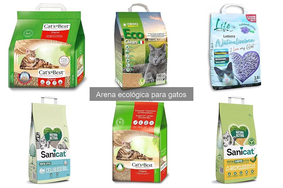 Efectos de la arena ecológica en la salud de los gatos
