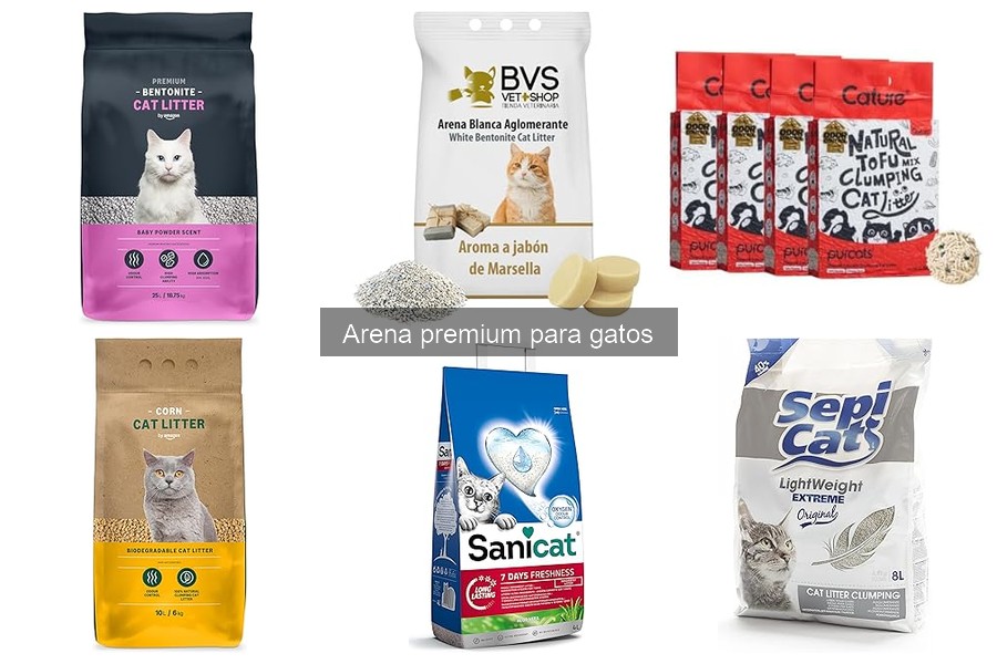 Efectos de la arena premium en la salud de tu gato