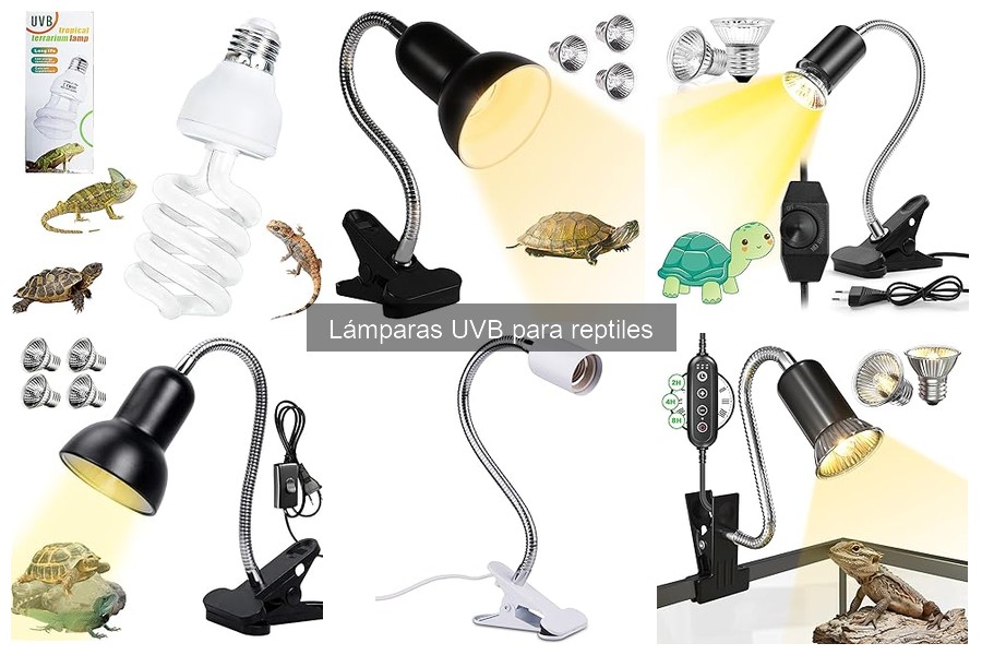 Efectos de la falta de luz UVB en reptiles: Consecuencias y soluciones
