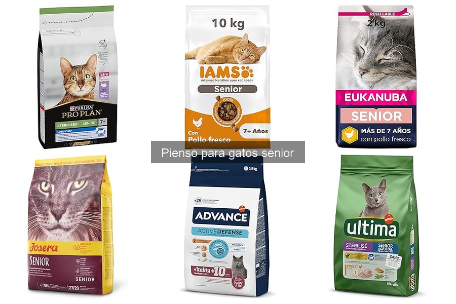 Efectos de una dieta inadecuada en gatos senior