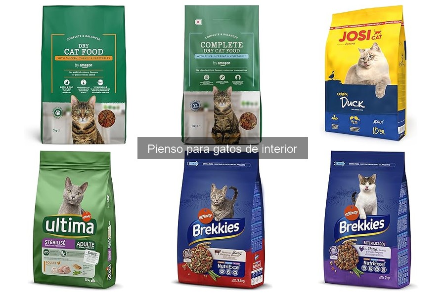 Efectos del cambio de pienso en gatos de interior