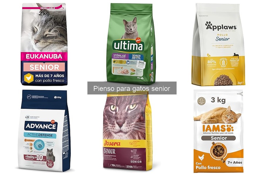 Efectos del pienso para gatos senior en su salud a largo plazo