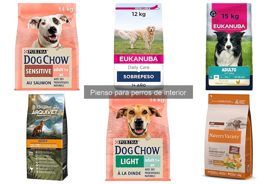 Efectos del pienso para perros de interior en su comportamiento