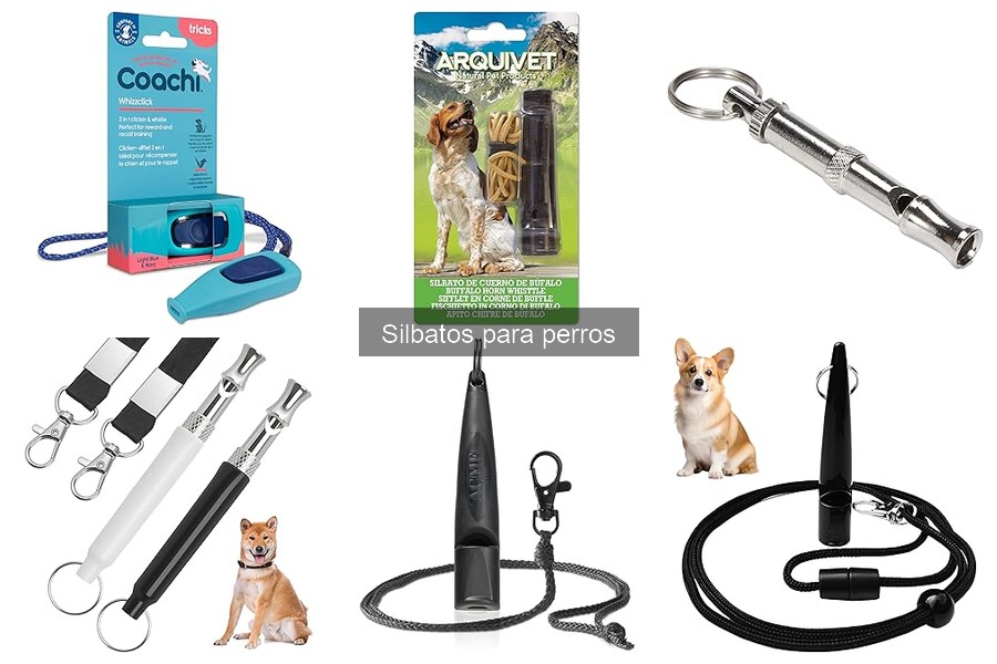 Efectos del silbato en la comunicación con tu perro