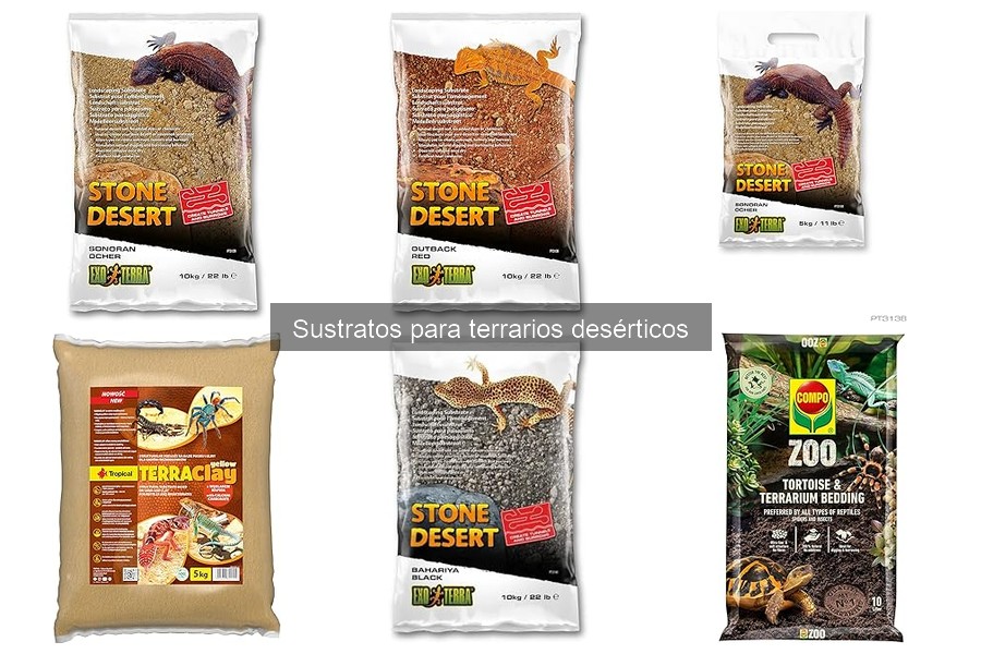 Efectos del sustrato en la salud de reptiles desérticos