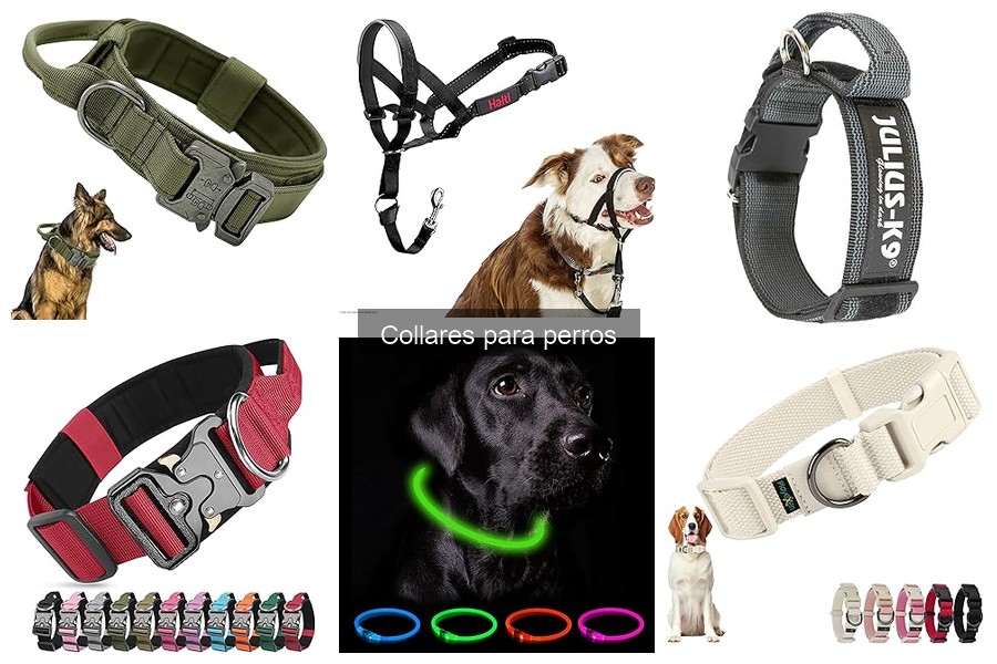 Efectos Secundarios de Collares de Choque en Perros