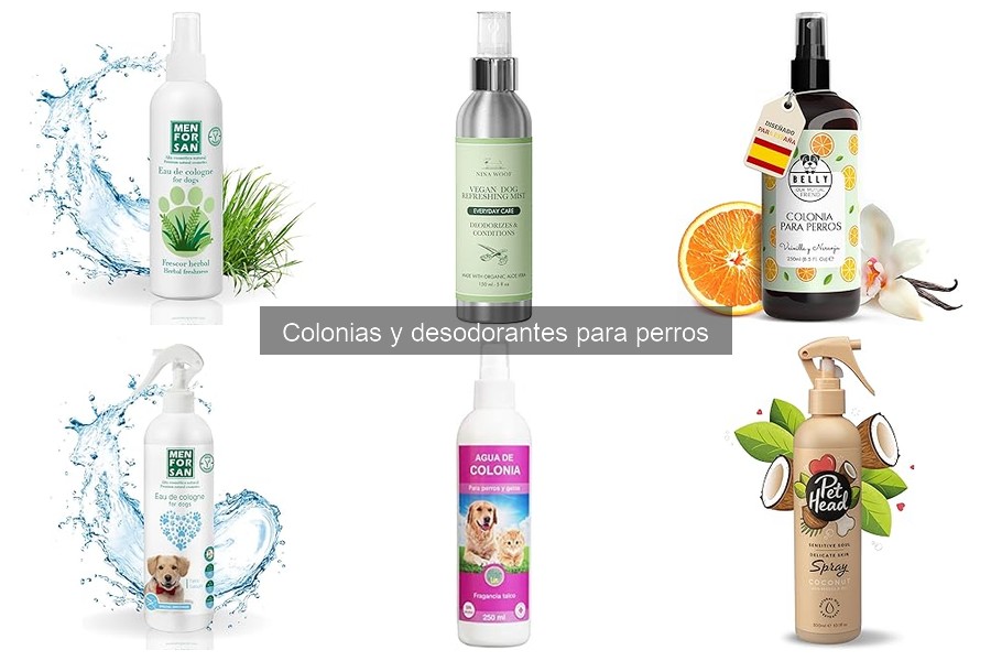 Efectos secundarios de las colonias para perros: lo que debes saber