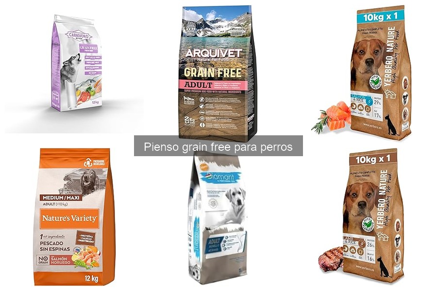 Efectos secundarios del pienso grain free en perros