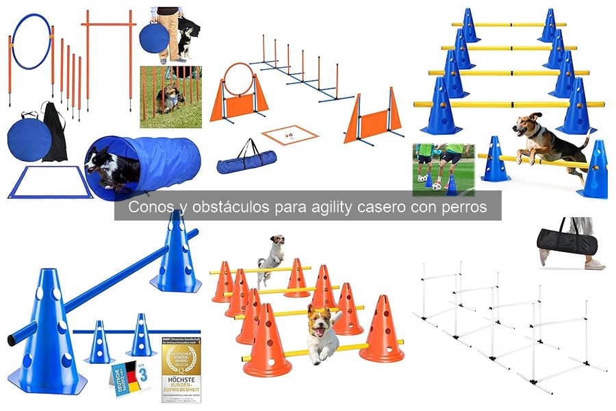 Ejercicios Creativos con Conos de Agility para Perros