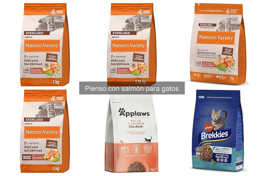 El mejor pienso de salmón hipoalergénico para gatos