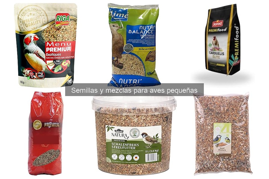 Enriquecer la dieta de tu ave con semillas: Consejos útiles