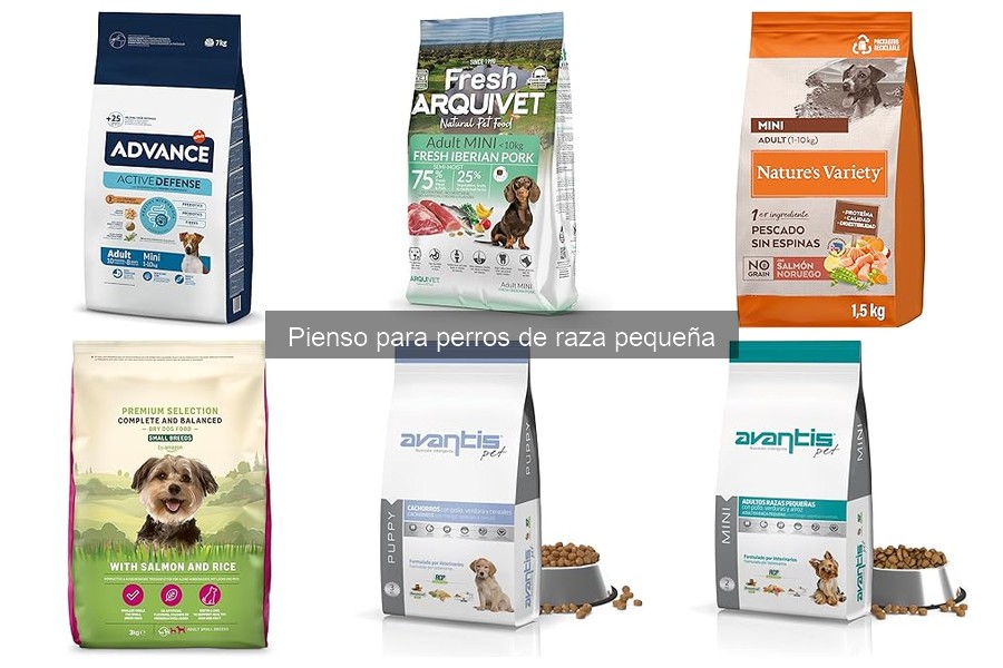 Errores al alimentar a perros pequeños con pienso